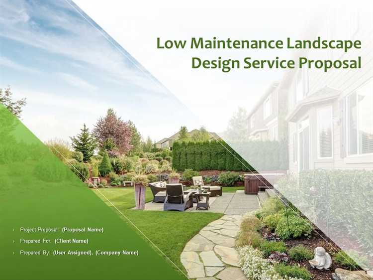 Seasonal Care and Maintenance Tips