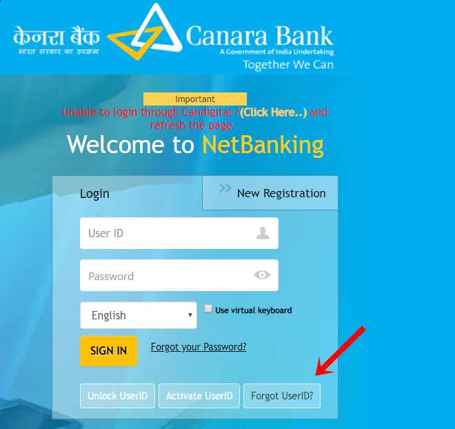 Understanding the concept of a user ID